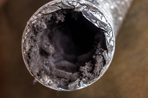 Best Local Air Duct Cleaning Services  in South Fulton, GA